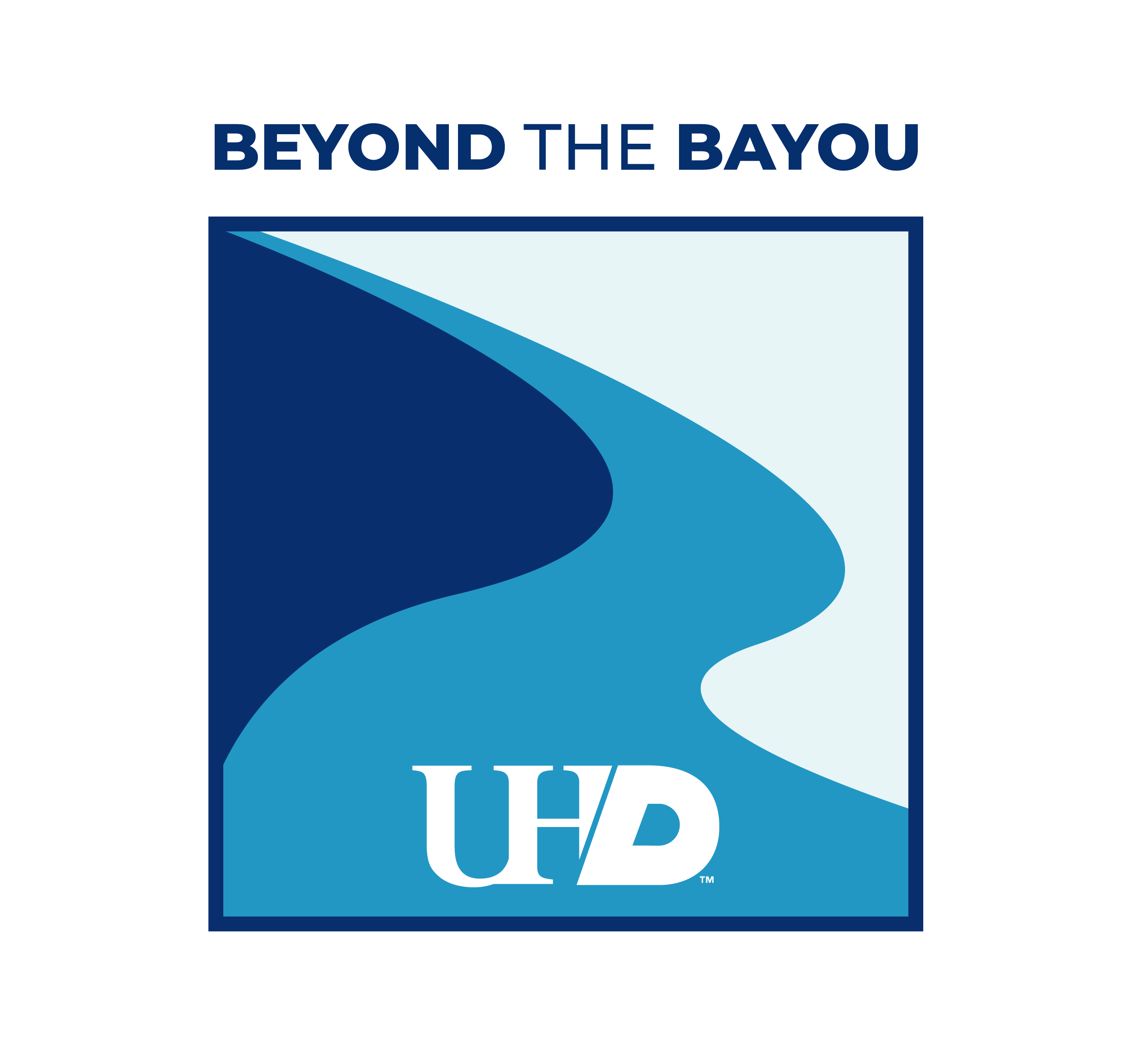 Beyond The Bayou
