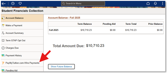 Screenshot of PayMyTuition.com-Wire Payments option