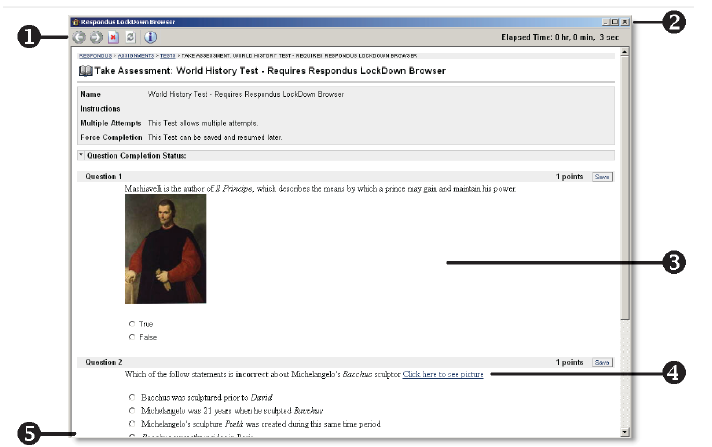 A screenshot of Respondus showing an example of a question.