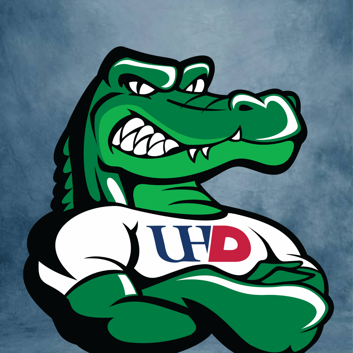Ed U Gator headshot